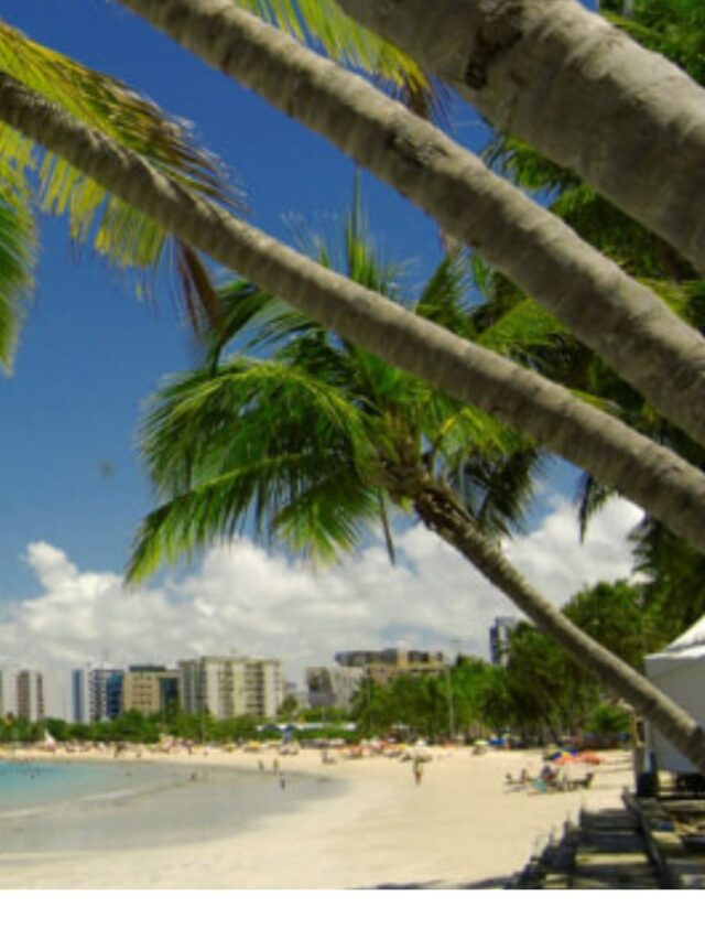 Neutral Minimalist Quote Instagram Story